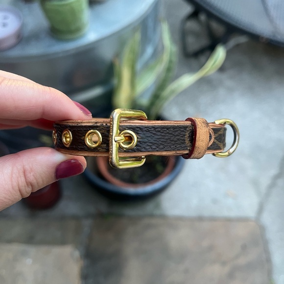 Louis Vuitton monogram dog collar and leash set - Picture 7 of 8
